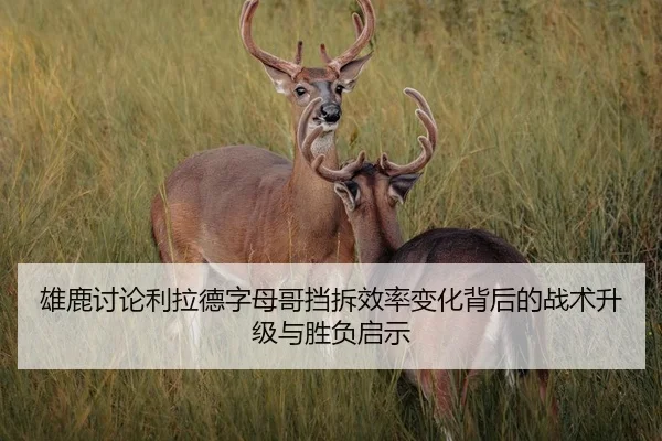 雄鹿讨论利拉德字母哥挡拆效率变化背后的战术升级与胜负启示